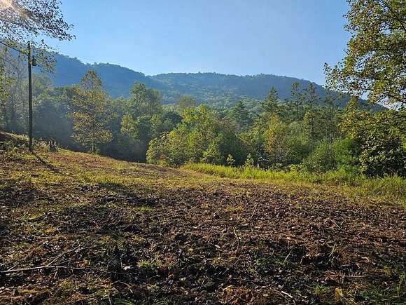 16.43 Acres of Agricultural Land for Sale in Otto, North Carolina