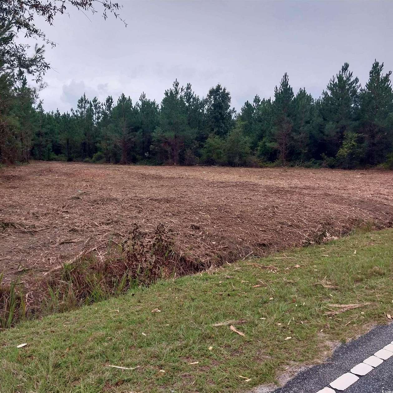 2.65 Acres of Residential Land for Sale in Marion, South Carolina