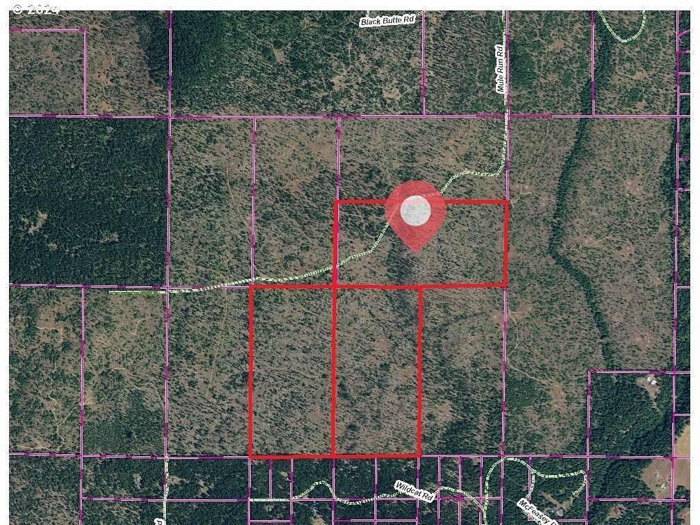 80 Acres of Recreational Land for Sale in Goldendale, Washington