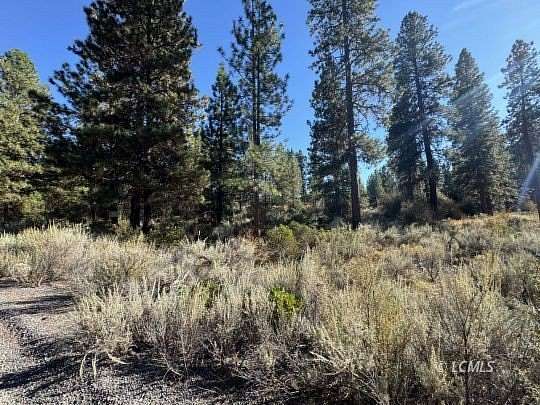 1 Acre of Residential Land for Sale in Chiloquin, Oregon