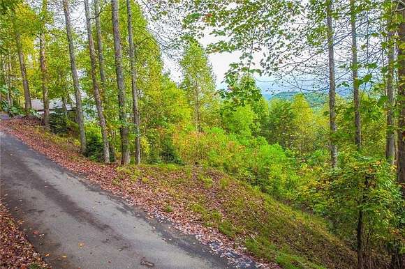 0.81 Acres of Land for Sale in Hiawassee, Georgia