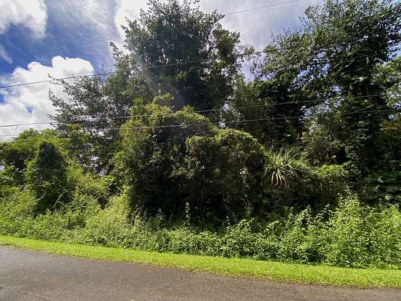 0.346 Acres of Residential Land for Sale in Pahoa, Hawaii