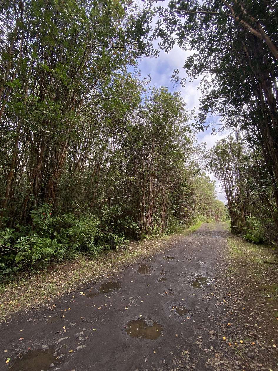 3 Acres of Residential Land for Sale in Mountain View, Hawaii