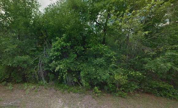 0.23 Acres of Residential Land for Sale in Citrus Springs, Florida