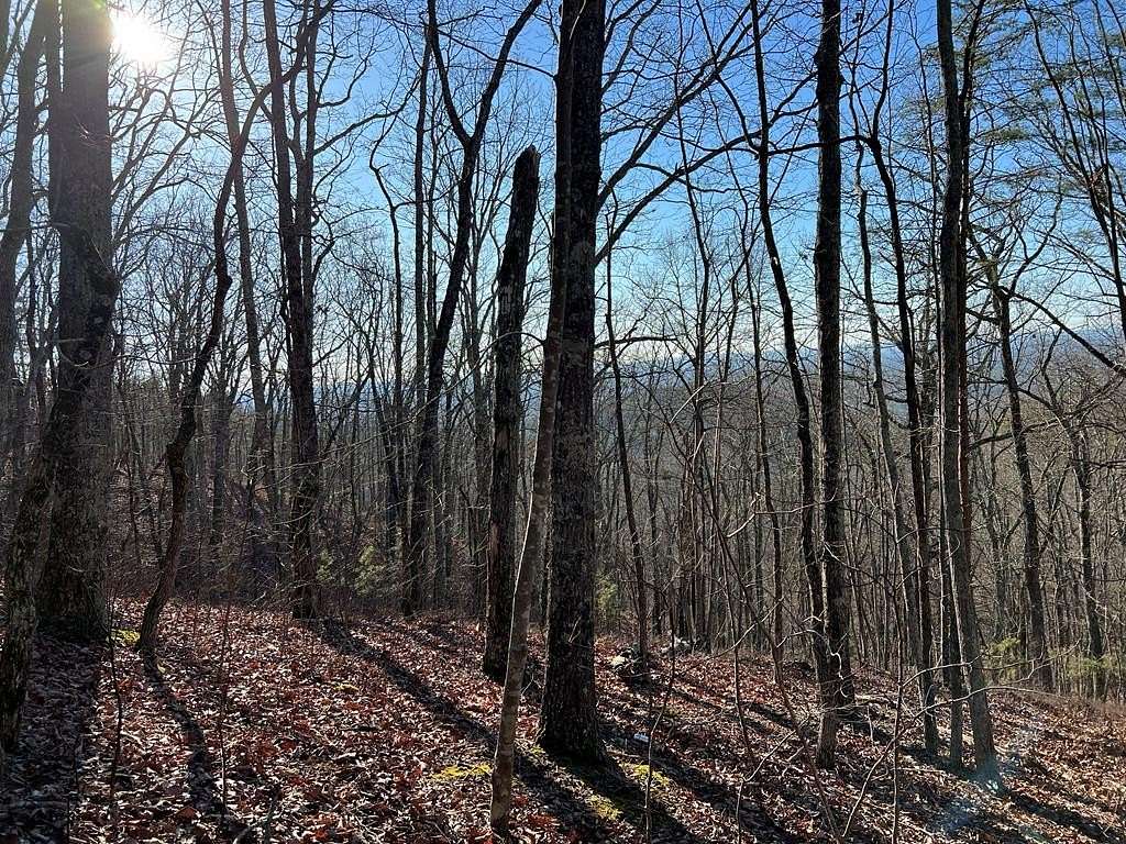 2.25 Acres of Residential Land for Sale in Ranger, Georgia