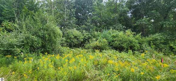 10 Acres of Recreational Land for Sale in Manistee, Michigan