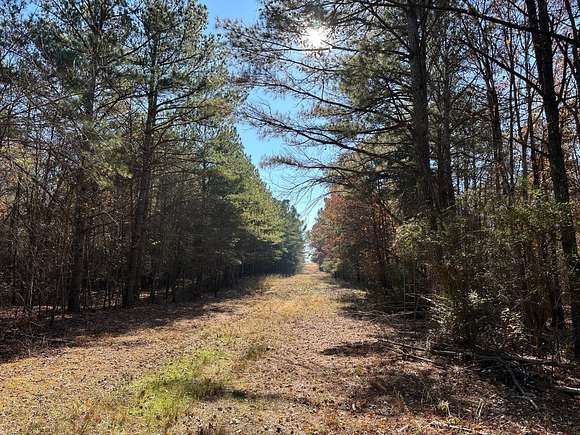 40 Acres of Recreational Land & Farm for Sale in Phil Campbell, Alabama