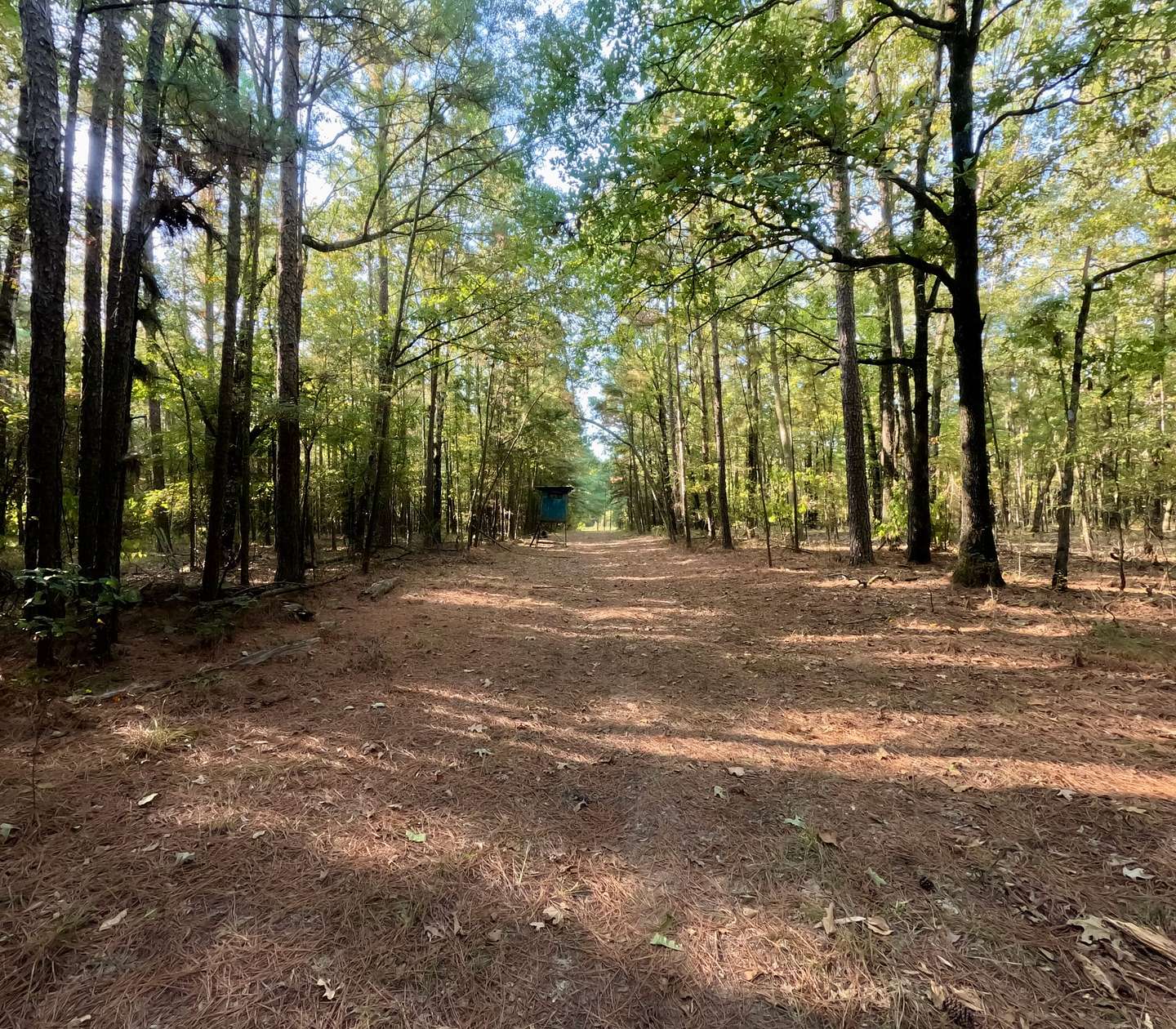 60 Acres of Recreational Land for Sale in Plain Dealing, Louisiana