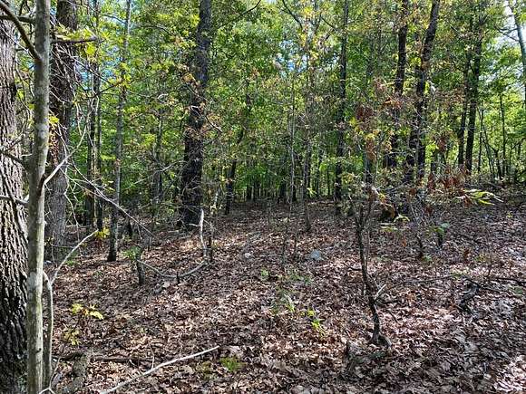 35 Acres of Land for Sale in Mammoth Spring, Arkansas