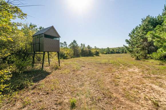 176.49 Acres of Land for Sale in Avinger, Texas