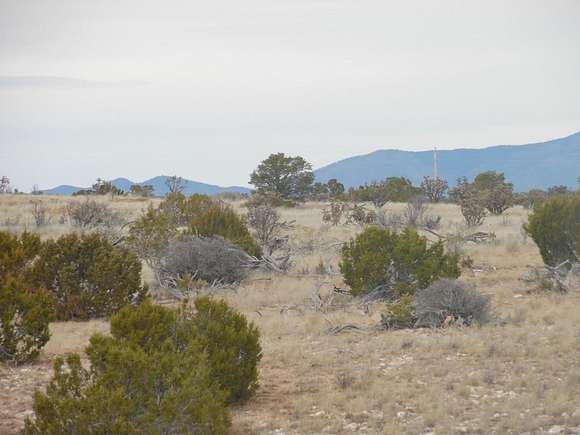 141.28 Acres of Land for Sale in Mountainair, New Mexico