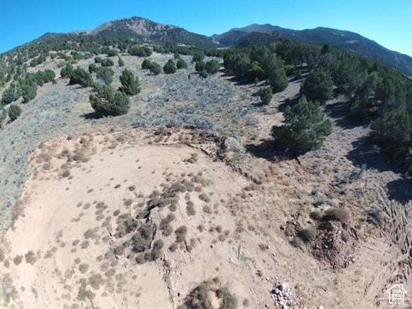 1 Acre of Residential Land for Sale in Birdseye, Utah