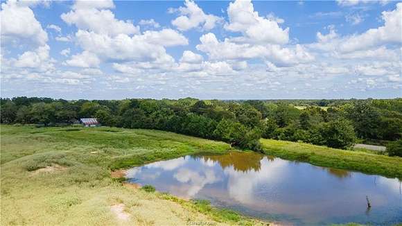 38 Acres of Agricultural Land for Sale in Caldwell, Texas