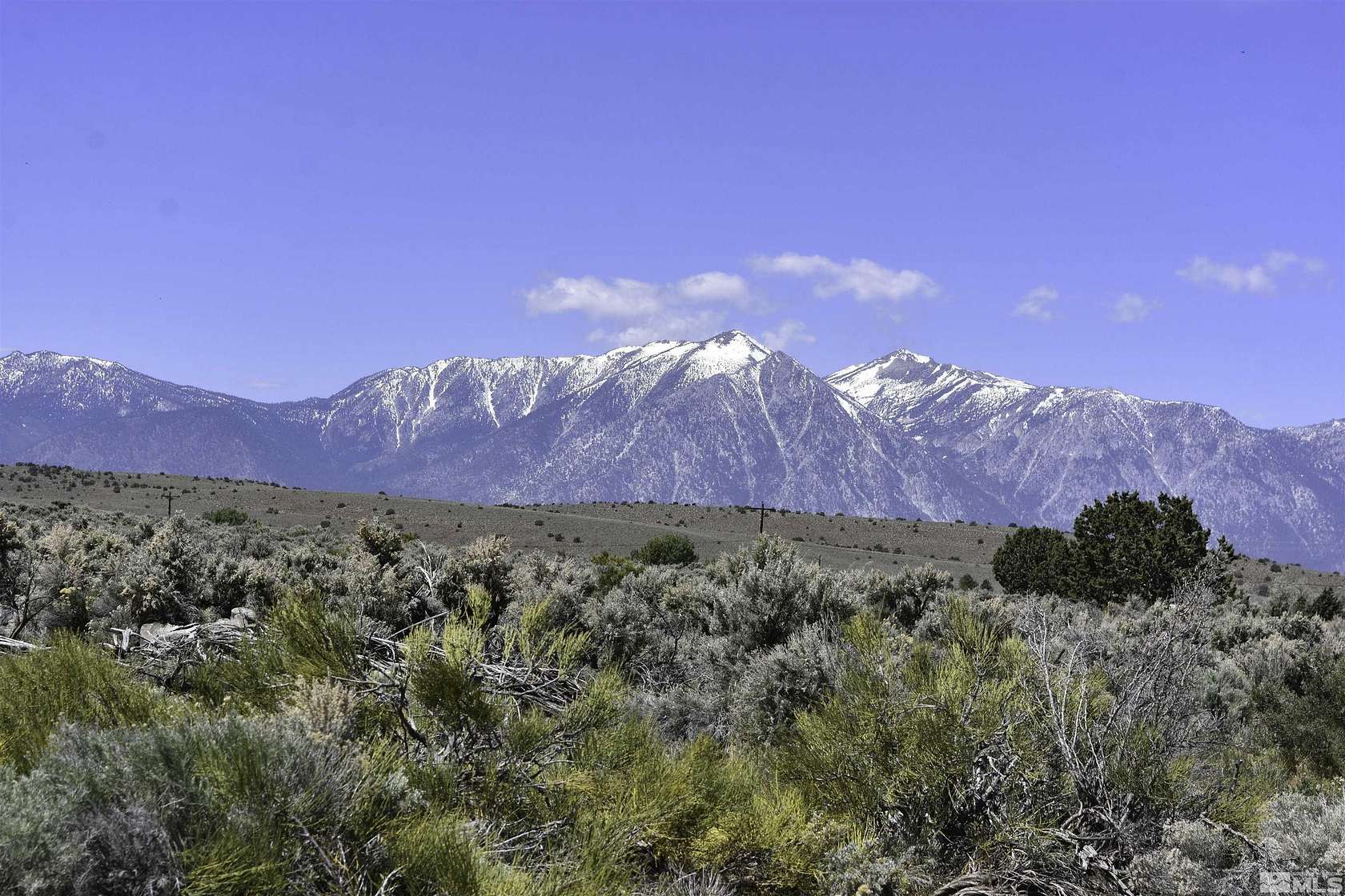 43.53 Acres of Recreational Land for Sale in Gardnerville, Nevada