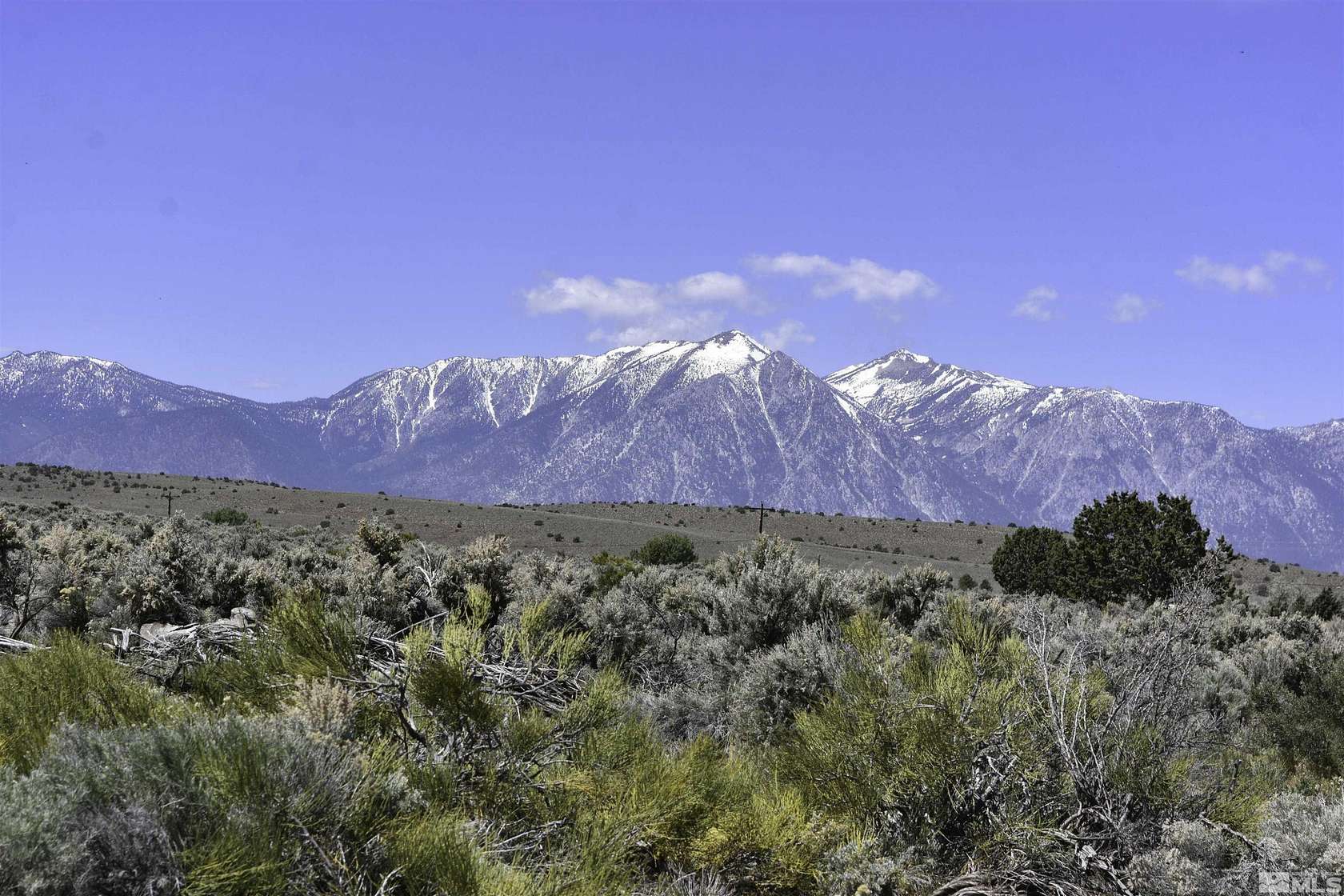 43.5 Acres of Recreational Land for Sale in Gardnerville, Nevada