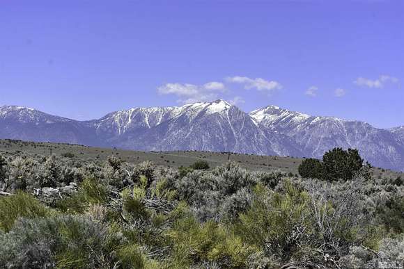 43.53 Acres of Recreational Land for Sale in Gardnerville, Nevada