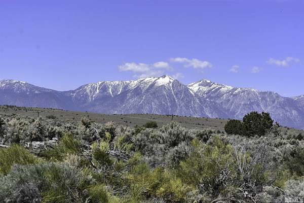 43.5 Acres of Recreational Land for Sale in Gardnerville, Nevada