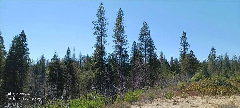 0.83 Acres of Residential Land for Sale in Berry Creek, California