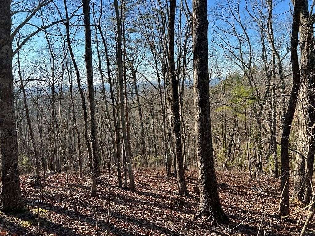 2 Acres of Land for Sale in Ranger, Georgia