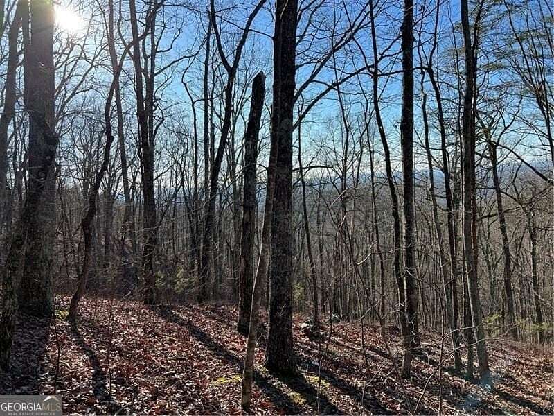 2 Acres of Land for Sale in Ranger, Georgia