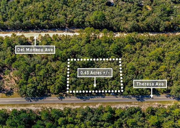 0.43 Acres of Residential Land for Sale in Interlachen, Florida