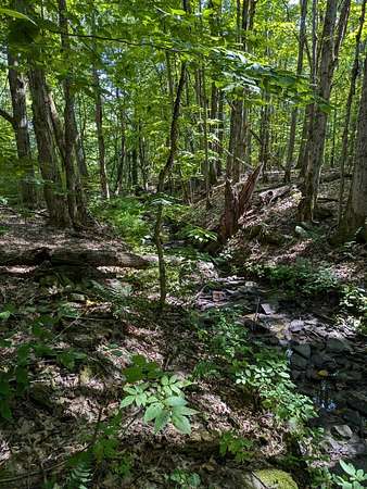 0.9 Acres of Land for Sale in Fultonville, New York