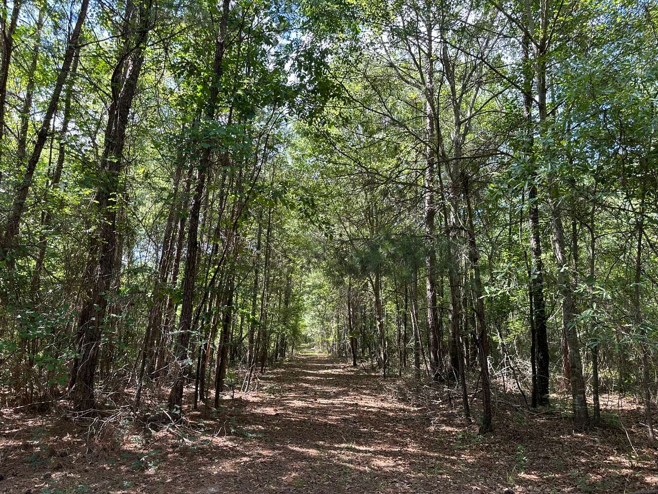 428.72 Acres of Land for Sale in Milledgeville, Georgia