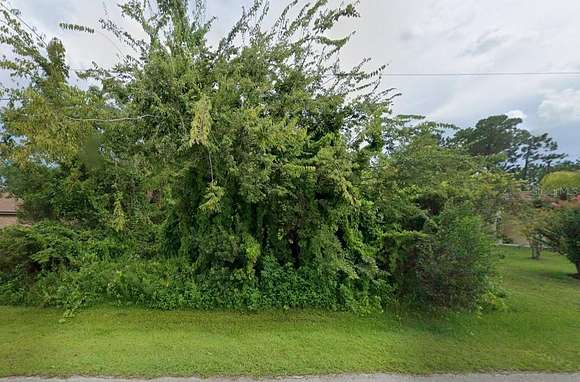 0.23 Acres of Residential Land for Sale in Palm Coast, Florida