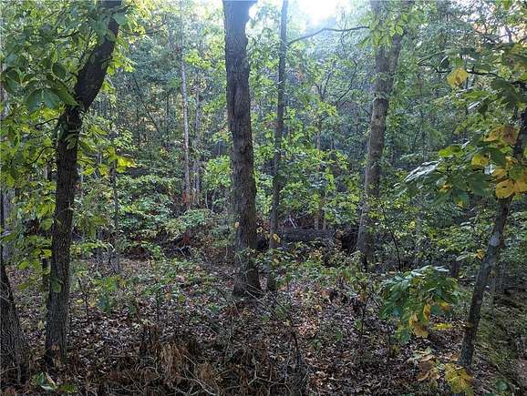 0.38 Acres of Residential Land for Sale in Bella Vista, Arkansas