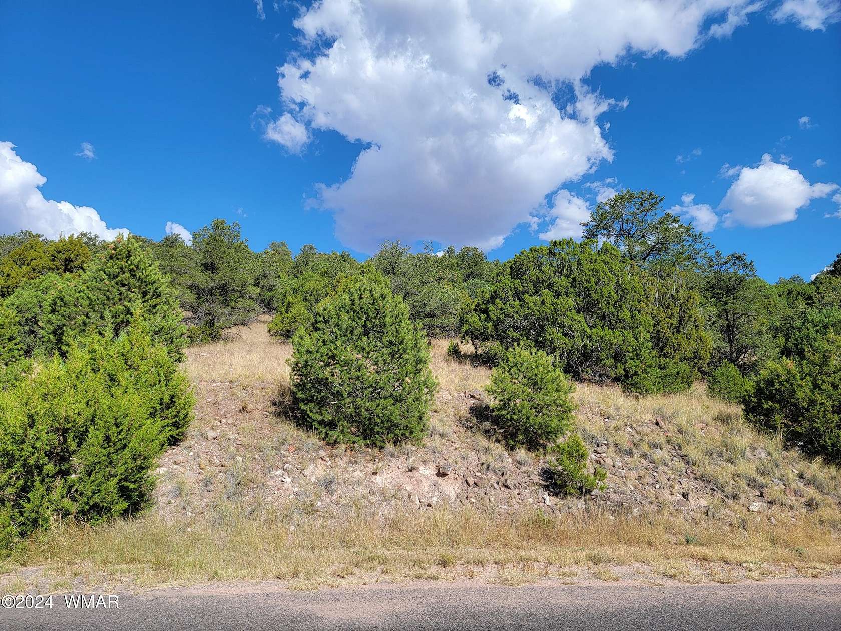 0.6 Acres of Residential Land for Sale in Eagar, Arizona