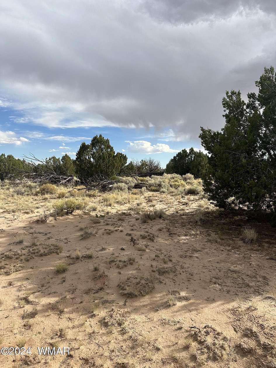 37.6 Acres of Recreational Land for Sale in St. Johns, Arizona