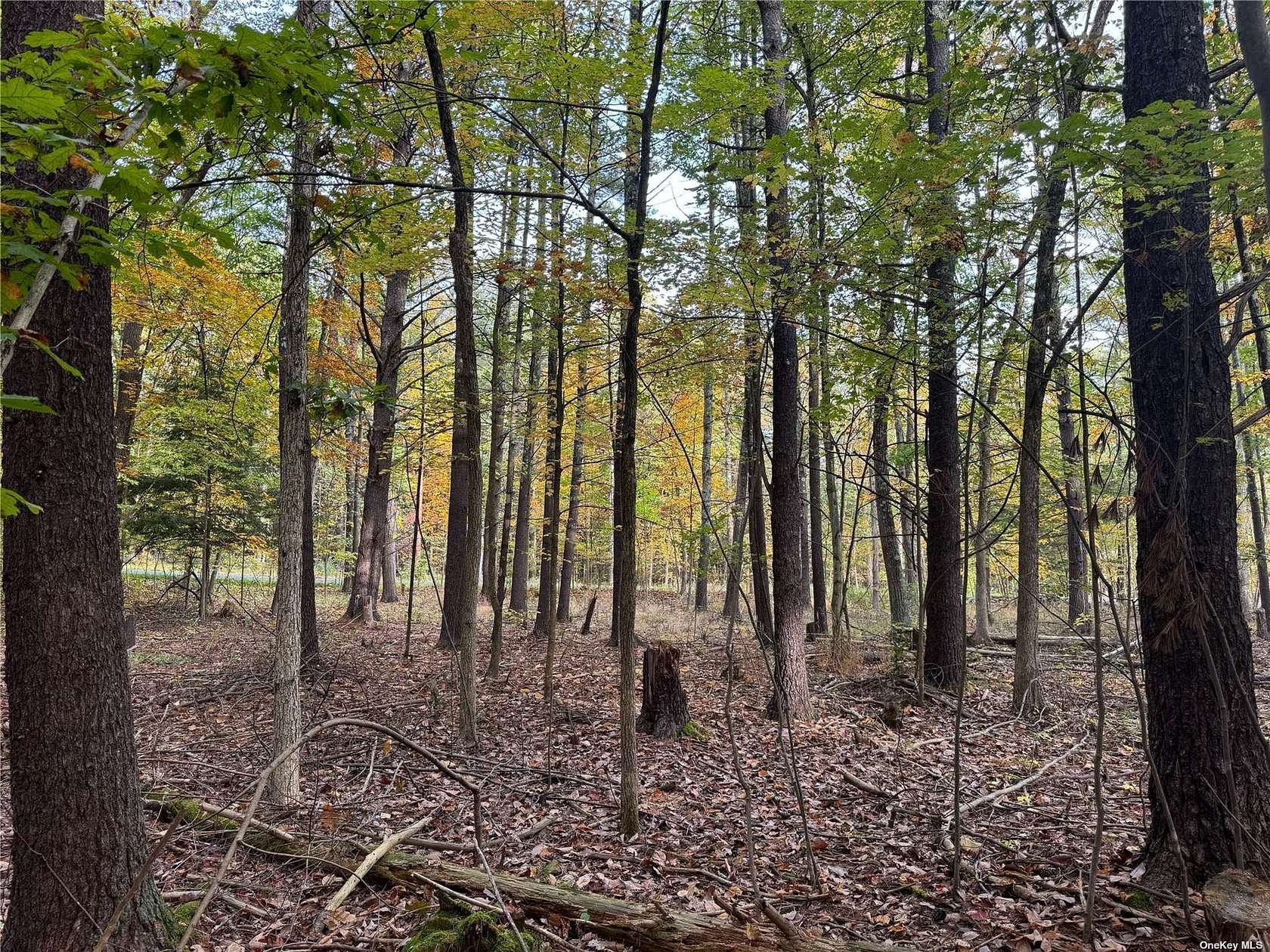 8.9 Acres of Land for Sale in Cairo, New York