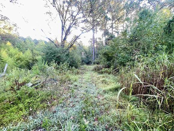 26 Acres of Recreational Land with Home for Sale in Camden, Arkansas