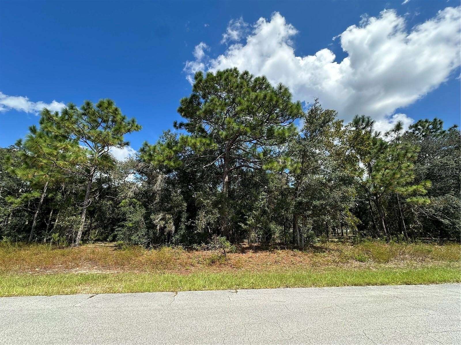 0.23 Acres of Land for Sale in Citrus Springs, Florida