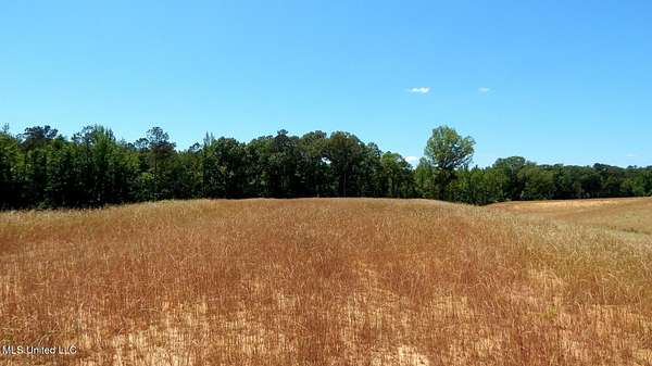 5.47 Acres of Residential Land for Sale in Grenada, Mississippi
