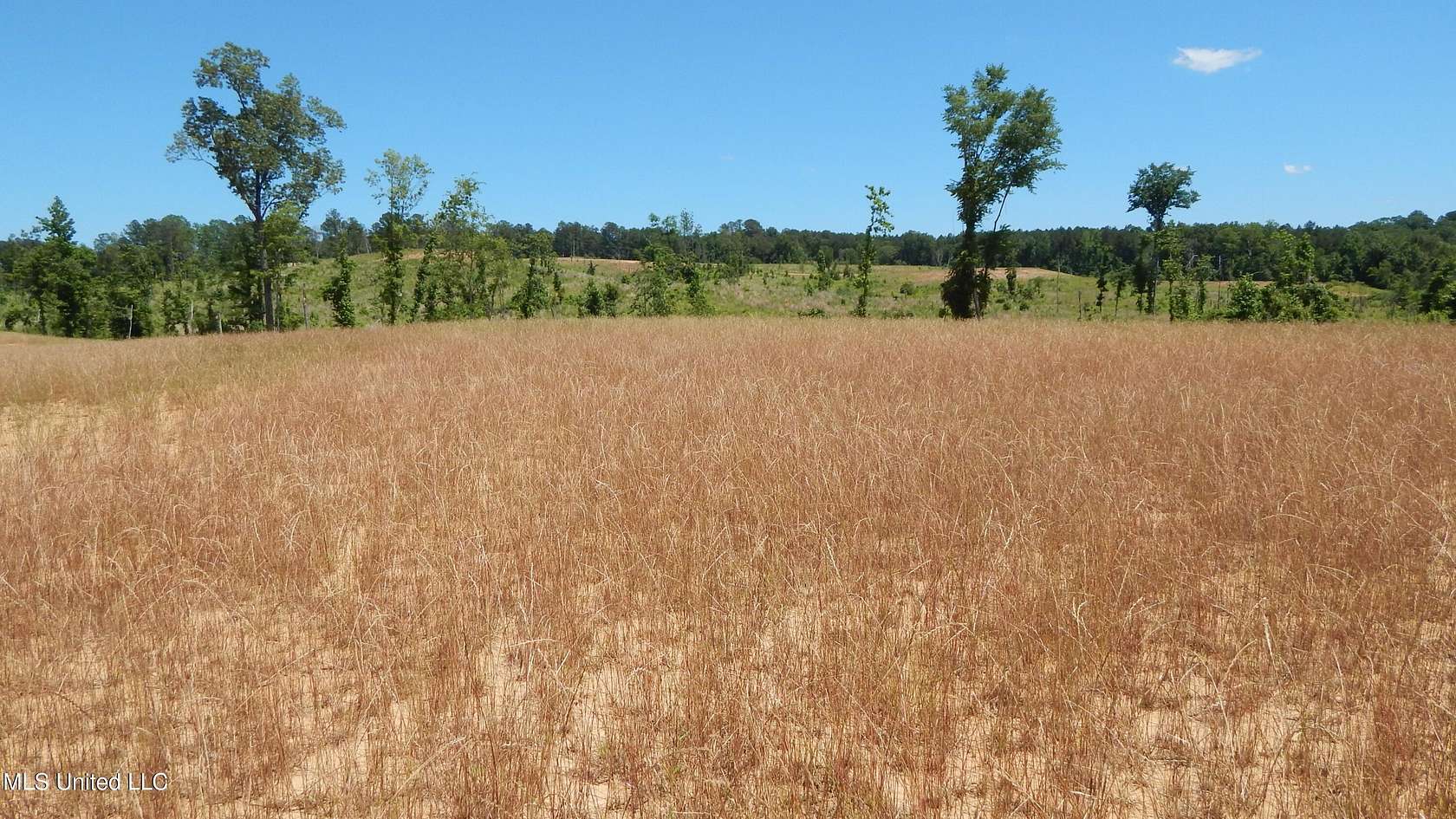 4 Acres of Residential Land for Sale in Grenada, Mississippi