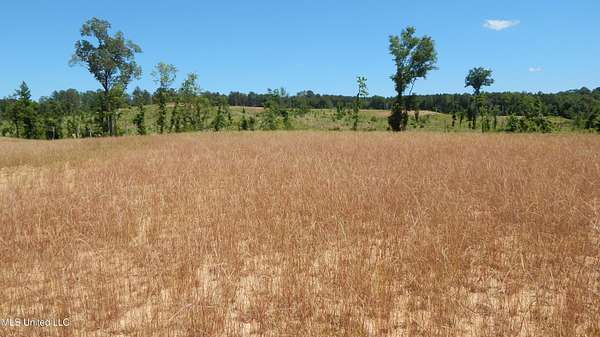 4 Acres of Residential Land for Sale in Grenada, Mississippi