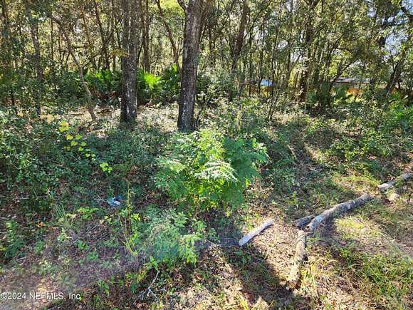 1.25 Acres of Land for Sale in Florahome, Florida