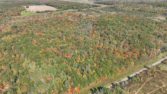 40 Acres of Recreational Land for Sale in Sumner Town, Wisconsin