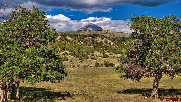 35.11 Acres of Recreational Land for Sale in Cahone, Colorado