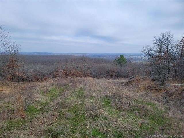 40 Acres of Recreational Land for Sale in Hanna, Oklahoma