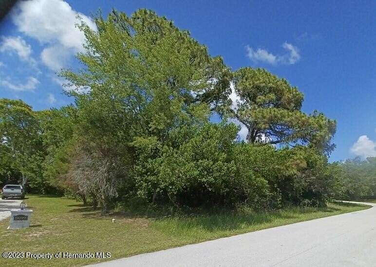 0.81 Acres of Residential Land for Sale in Weeki Wachee, Florida