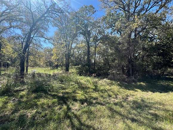 0.5 Acres of Residential Land for Sale in Whitney, Texas