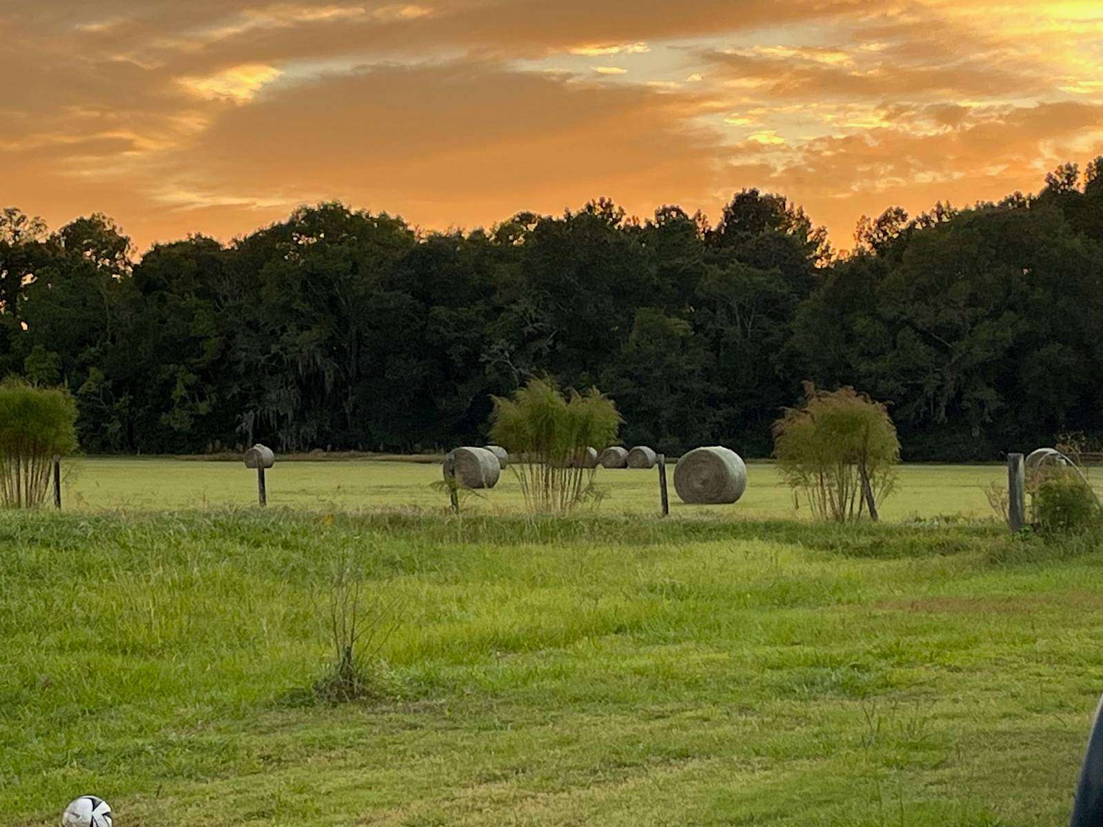 15 Acres of Agricultural Land for Sale in Starke, Florida