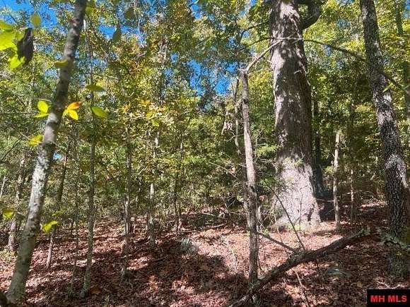 20 Acres of Recreational Land for Sale in Yellville, Arkansas