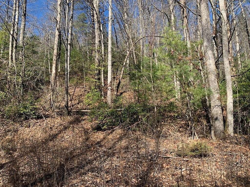 11.25 Acres of Land for Sale in Warne, North Carolina