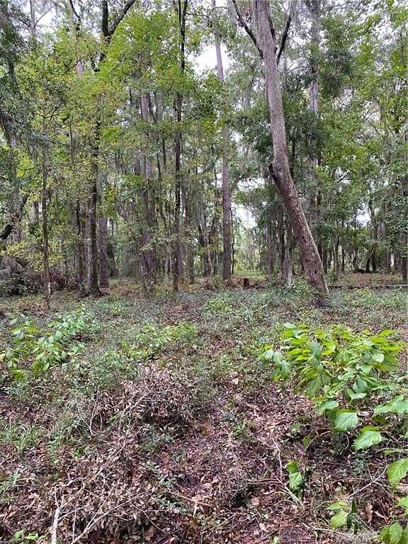 2 Acres of Residential Land for Sale in Darien, Georgia