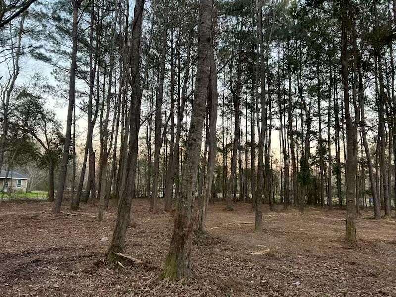 4 Acres of Residential Land for Sale in Picayune, Mississippi