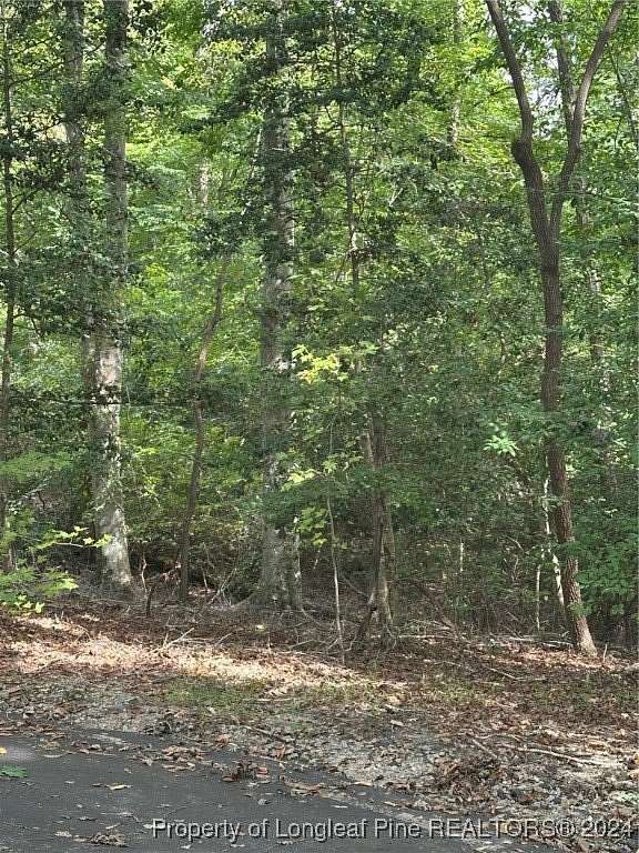 0.25 Acres of Residential Land for Sale in Sanford, North Carolina