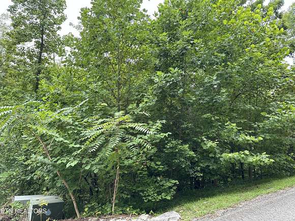 0.29 Acres of Residential Land for Sale in Caryville, Tennessee